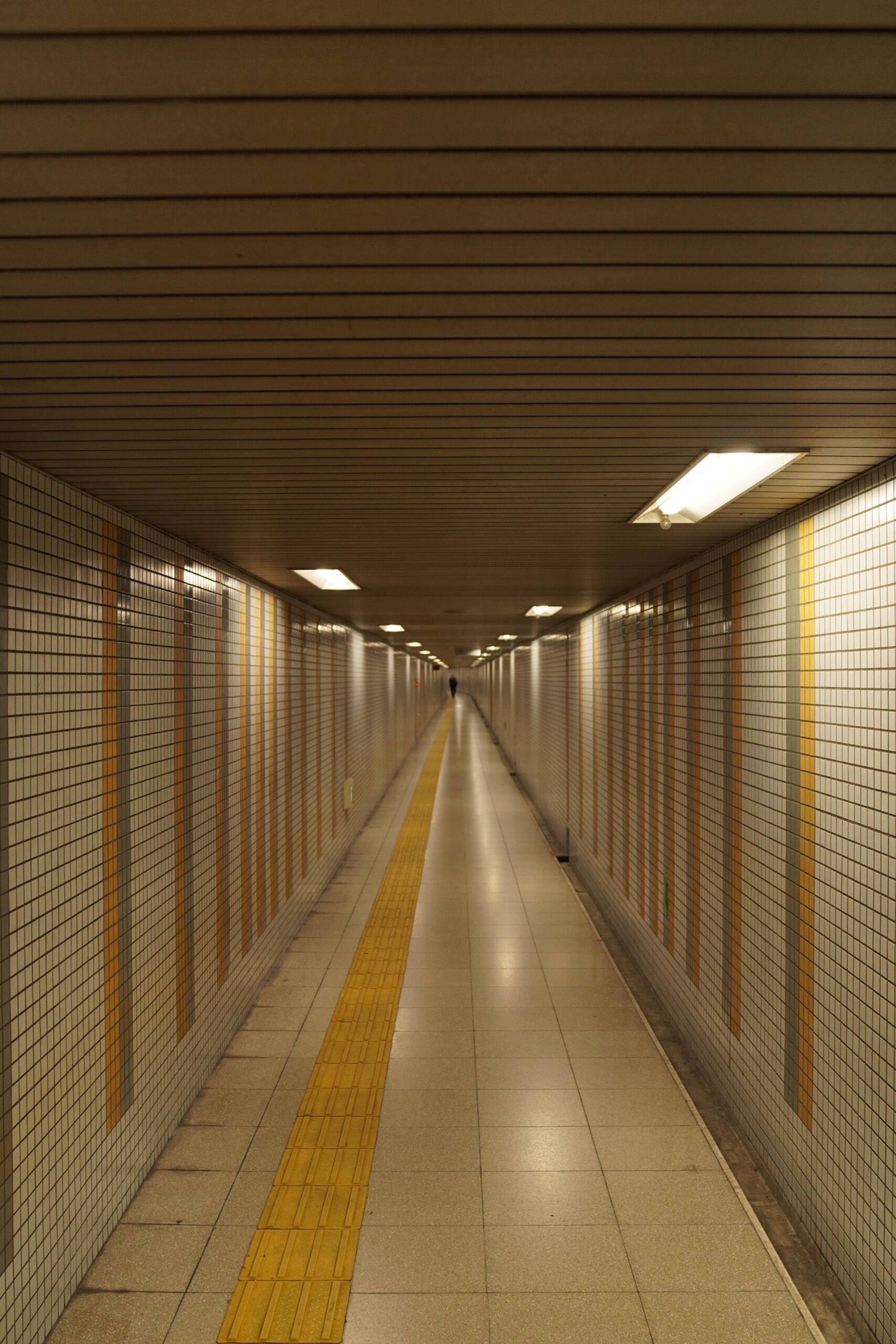 誰もいない日本の駅が放つ不思議な雰囲気: 「出口8さえ見つかれば…」