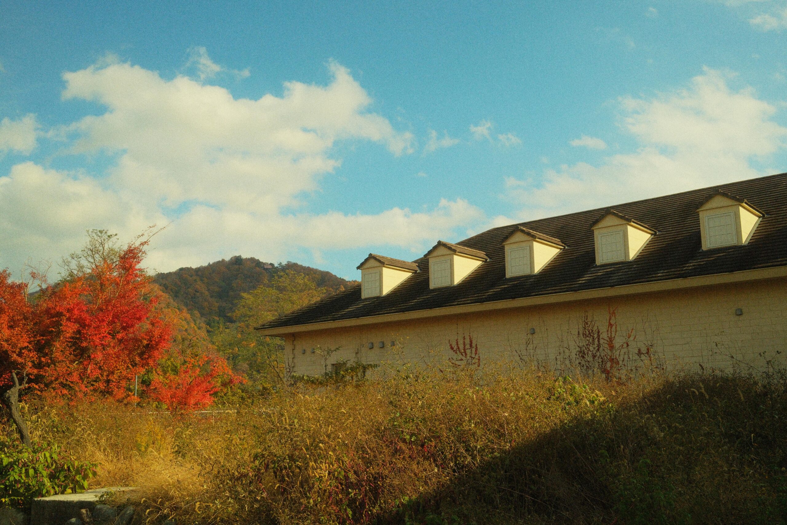 Mid-November in Fujikawaguchiko
