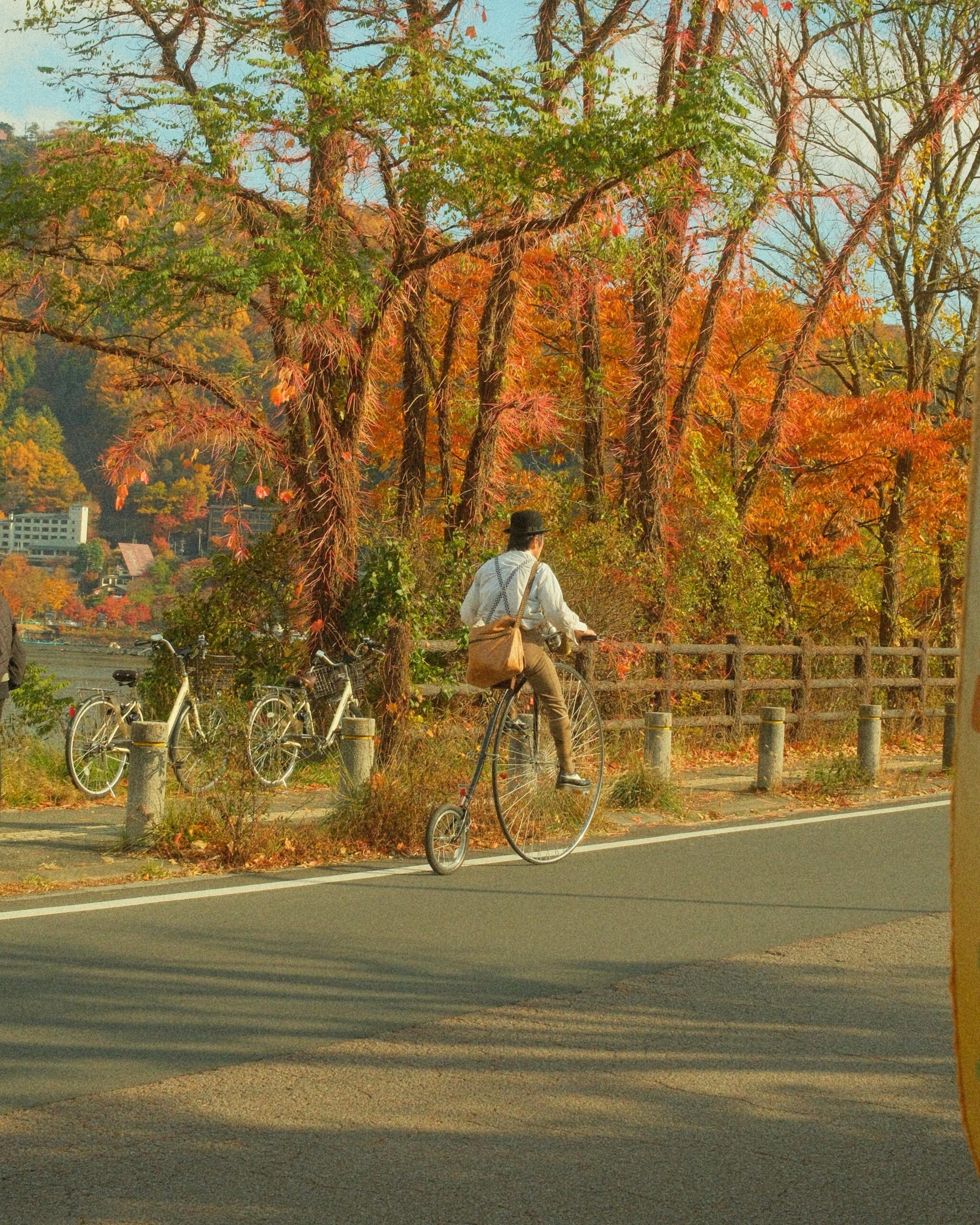 Mid-November in Fujikawaguchiko