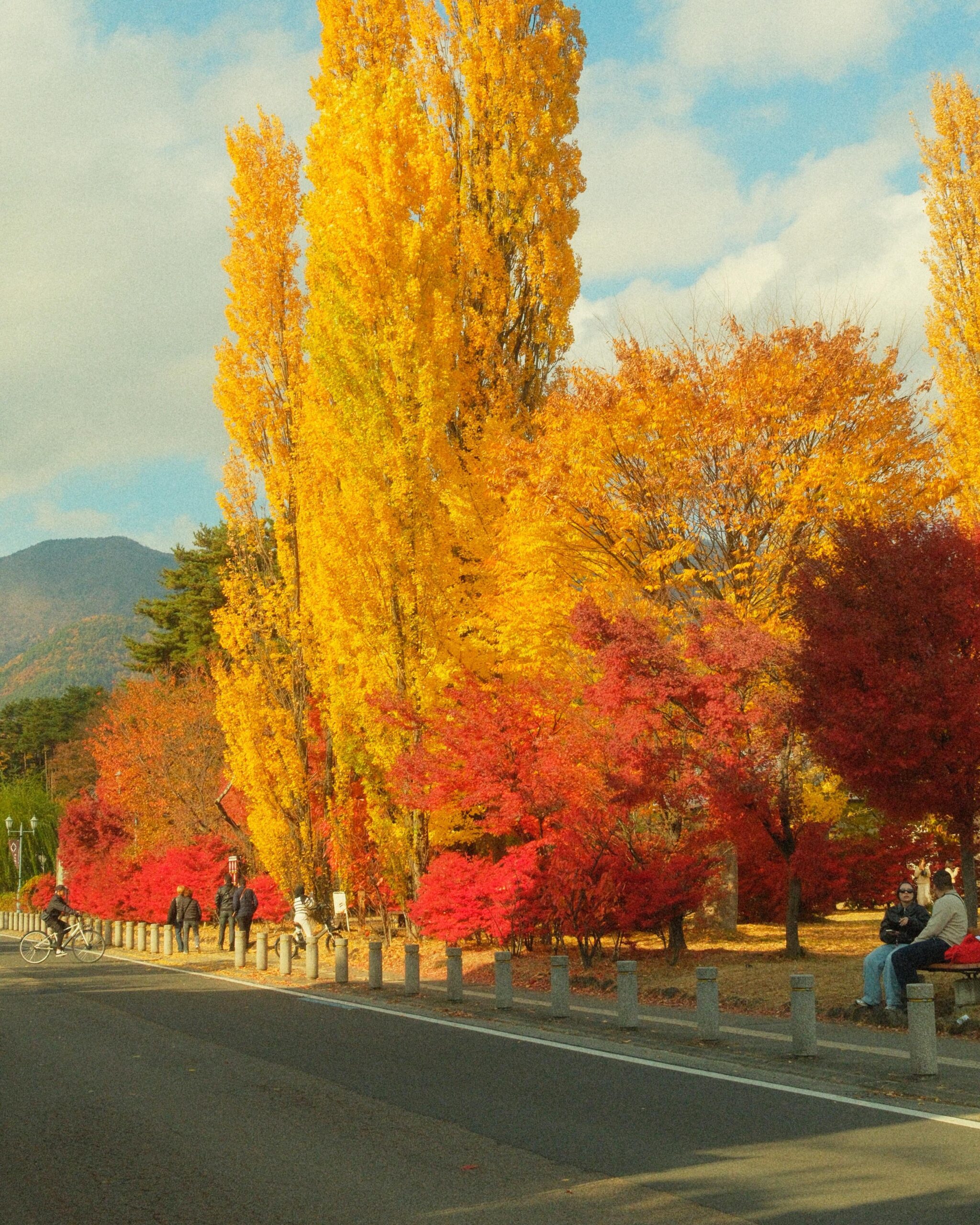 Mid-November in Fujikawaguchiko