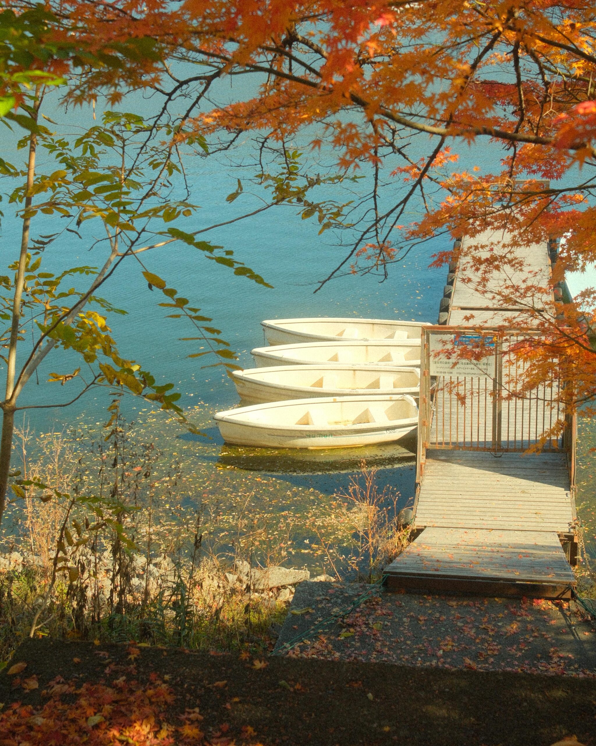 Mid-November in Fujikawaguchiko