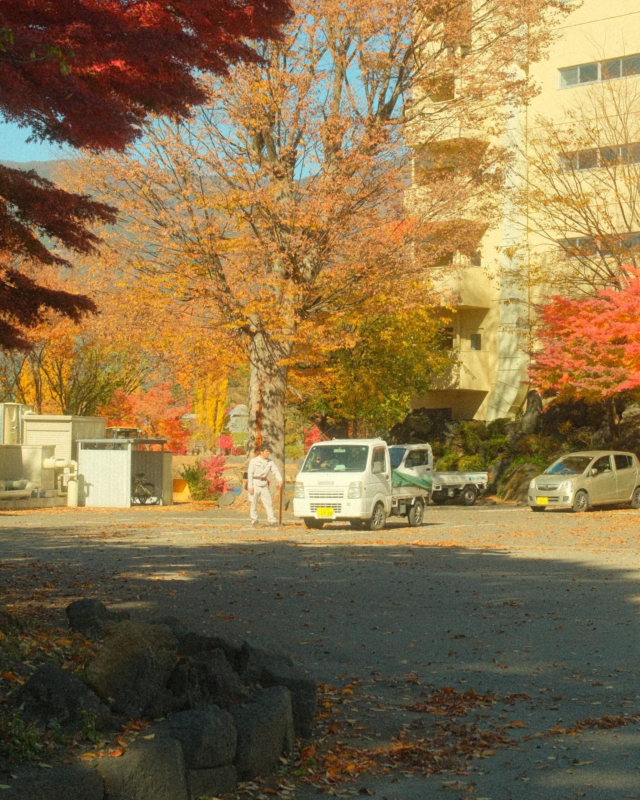 Mid-November in Fujikawaguchiko