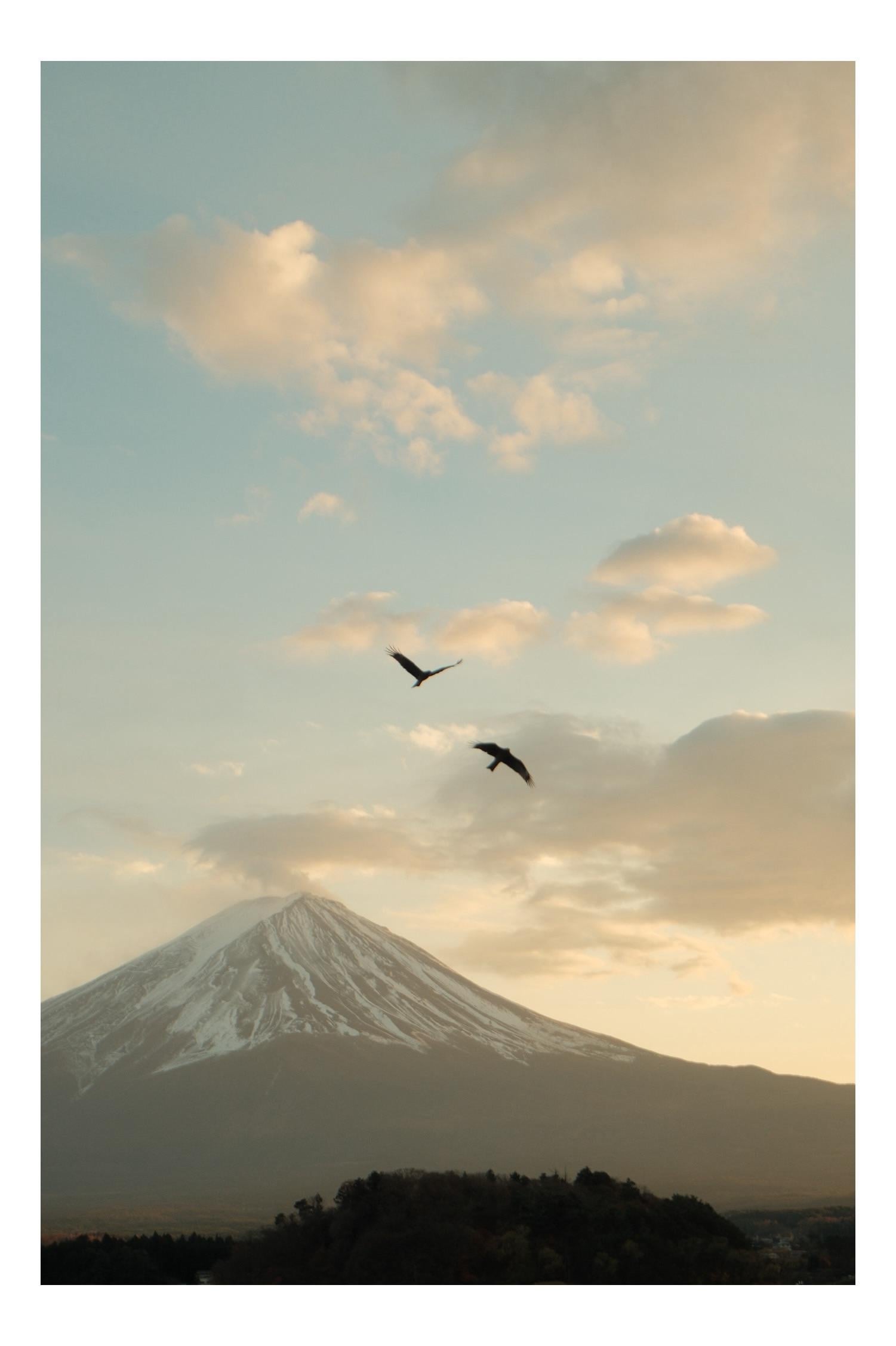 富士山の写真は失敗しにくいのか: 「いや、でもローソンはダメ写真になるよ。」