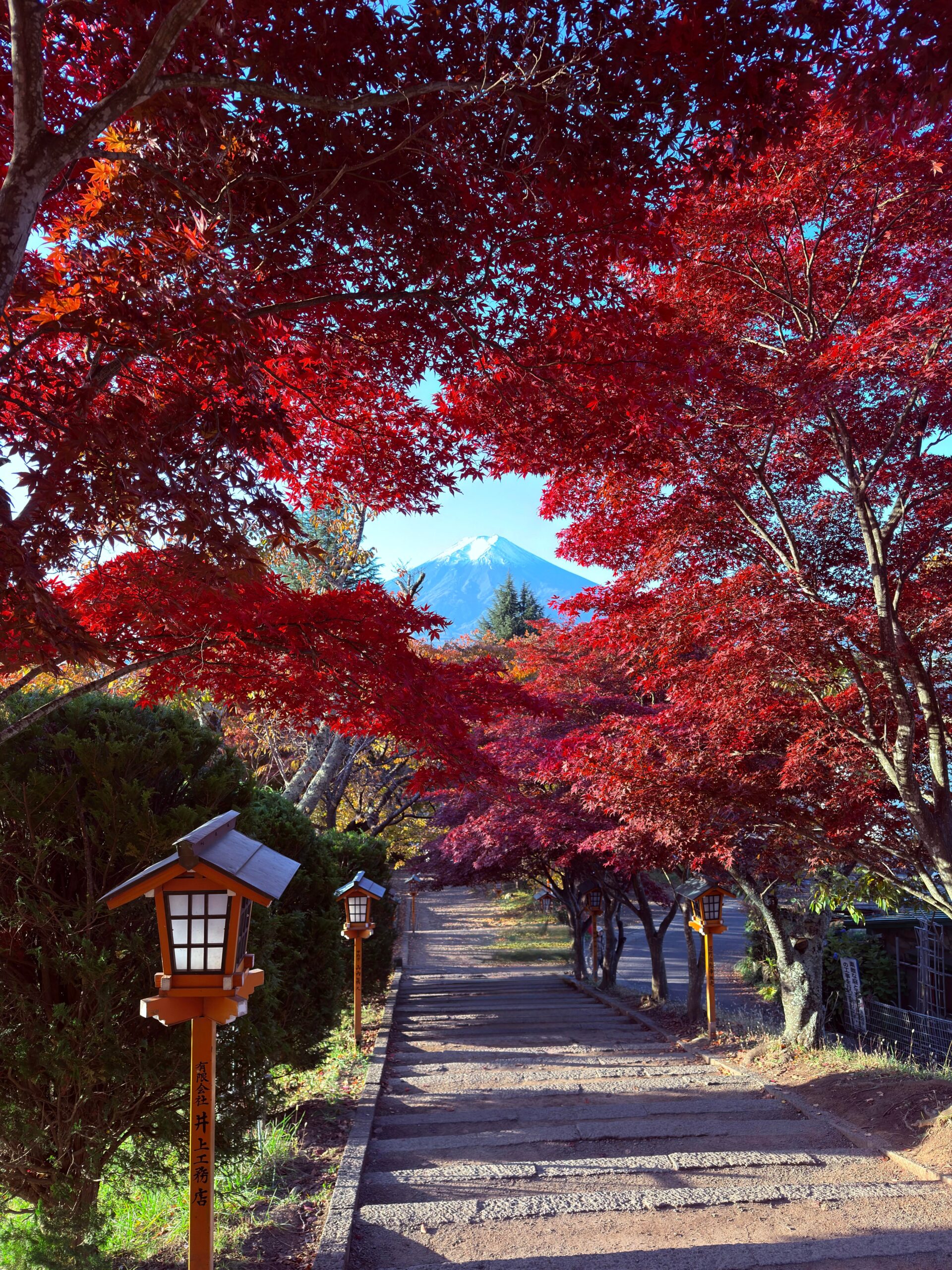 紅葉に彩られた富士山、一枚絵のような絶景: 「色が本当に凄かった」