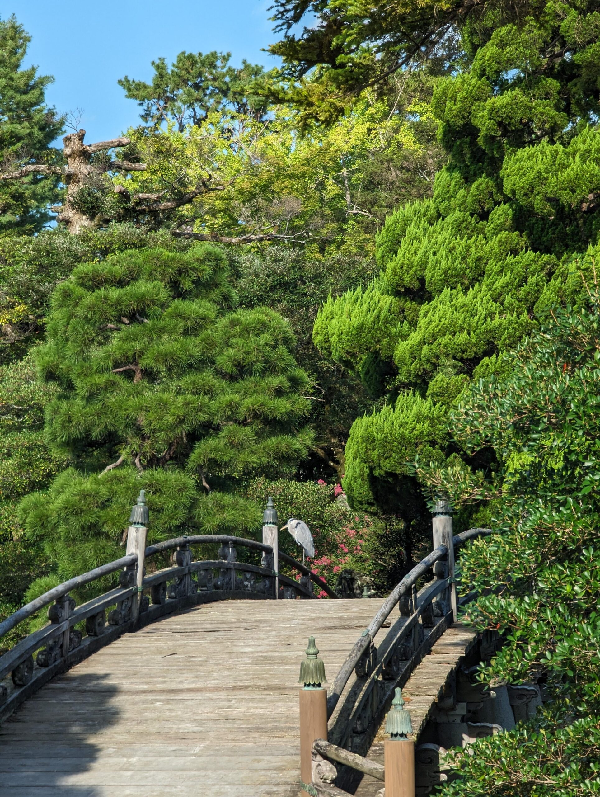 混雑前の京都(2023年9月)