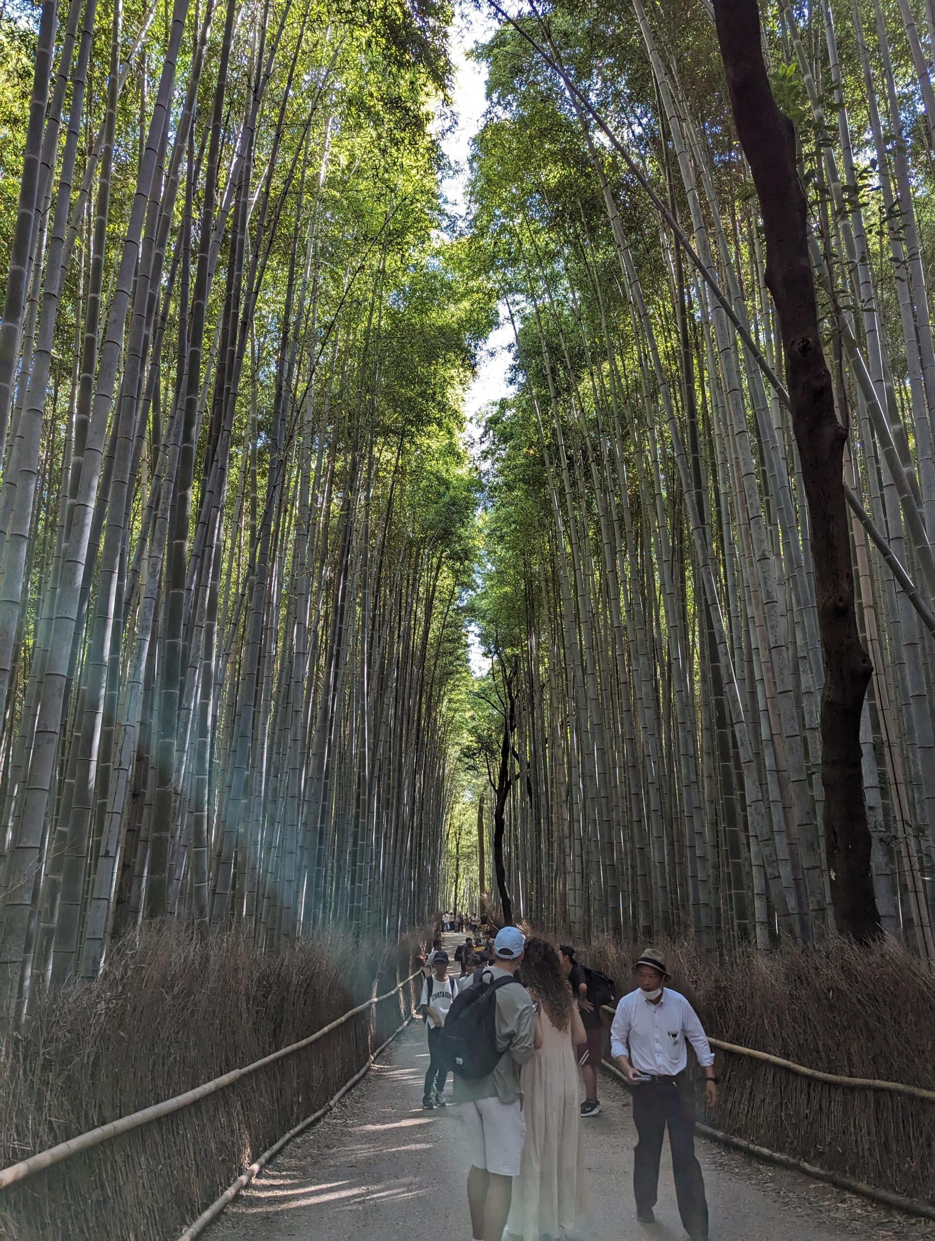 混雑前の京都(2023年9月)