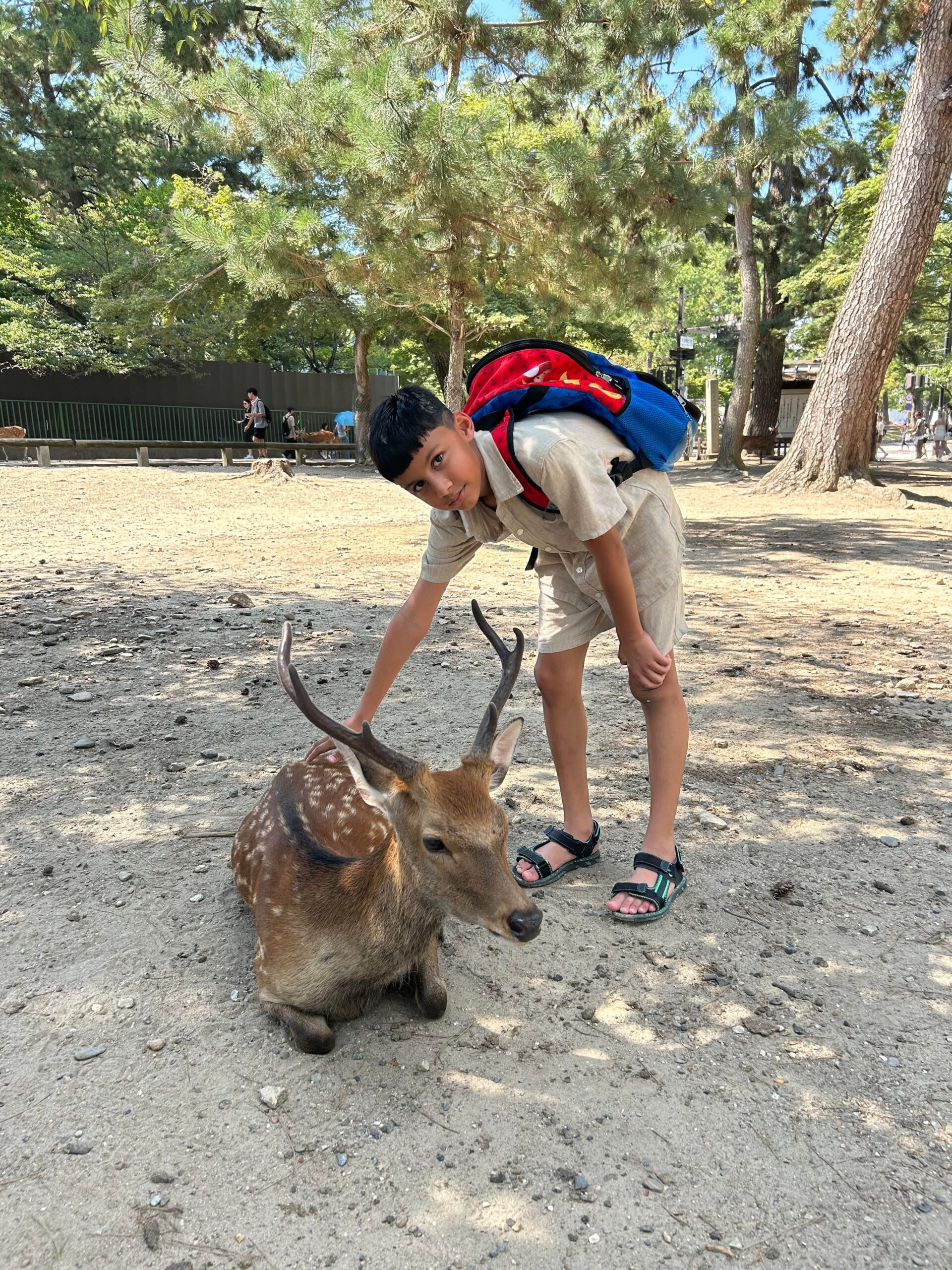 日本旅行で最高の思い出: 「彼は100,048/10と言って、人生の最高の時間だった!」