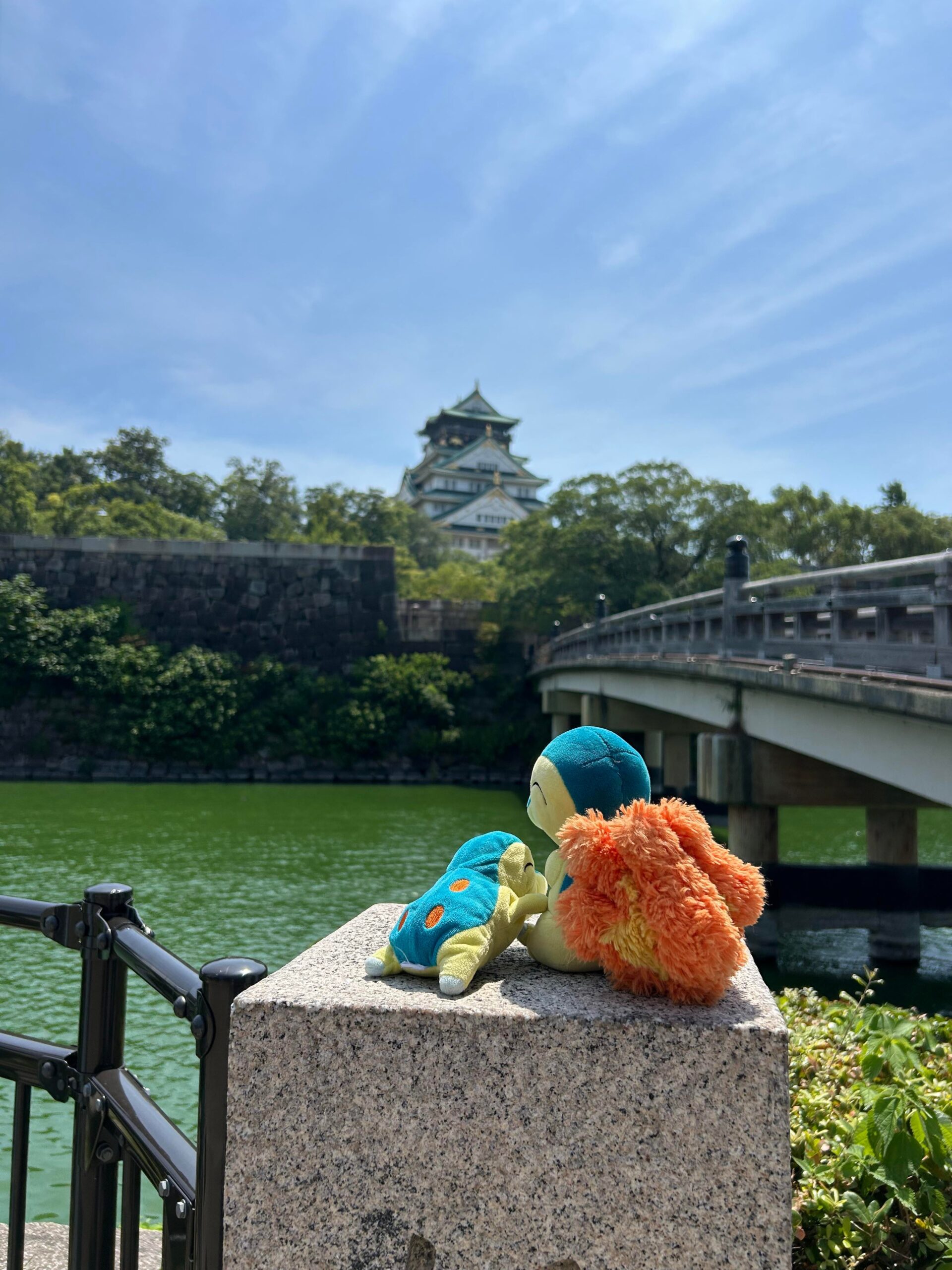 日本旅行で最高の思い出: 「彼は100,048/10と言って、人生の最高の時間だった!」