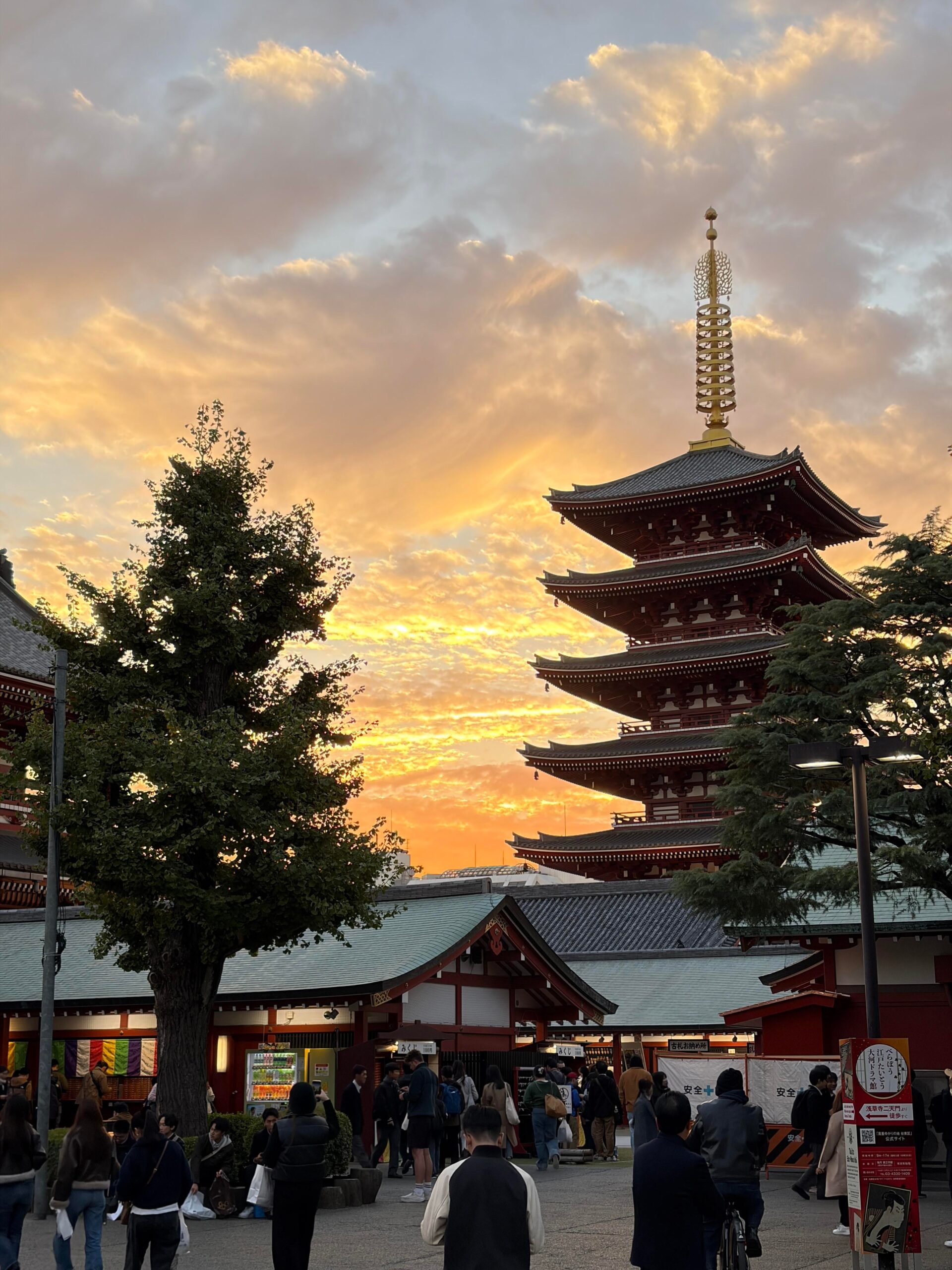 11月の日本旅行「美しい風景に心を奪われる」