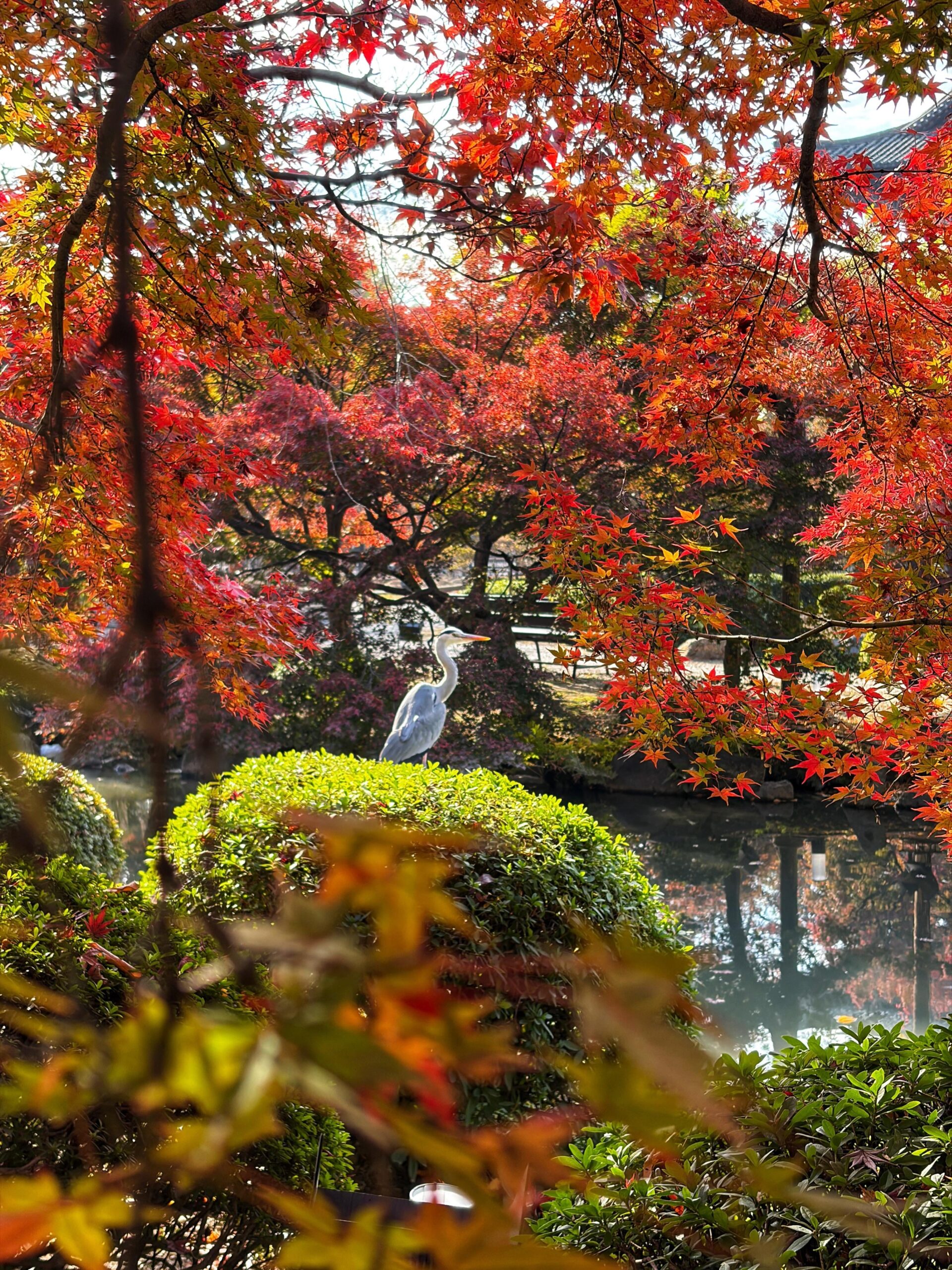 11月の日本旅行「美しい風景に心を奪われる」