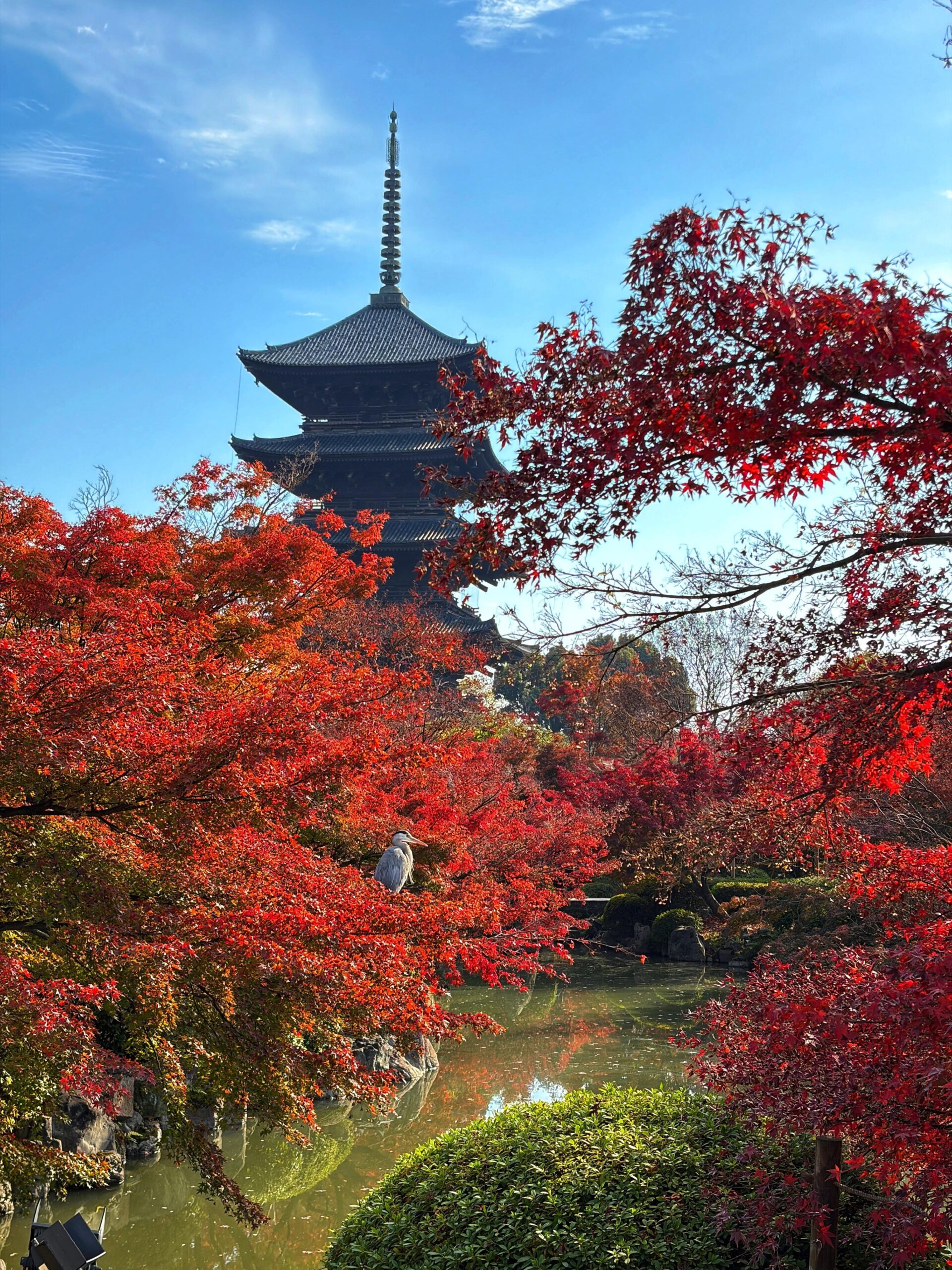 11月の日本旅行「美しい風景に心を奪われる」
