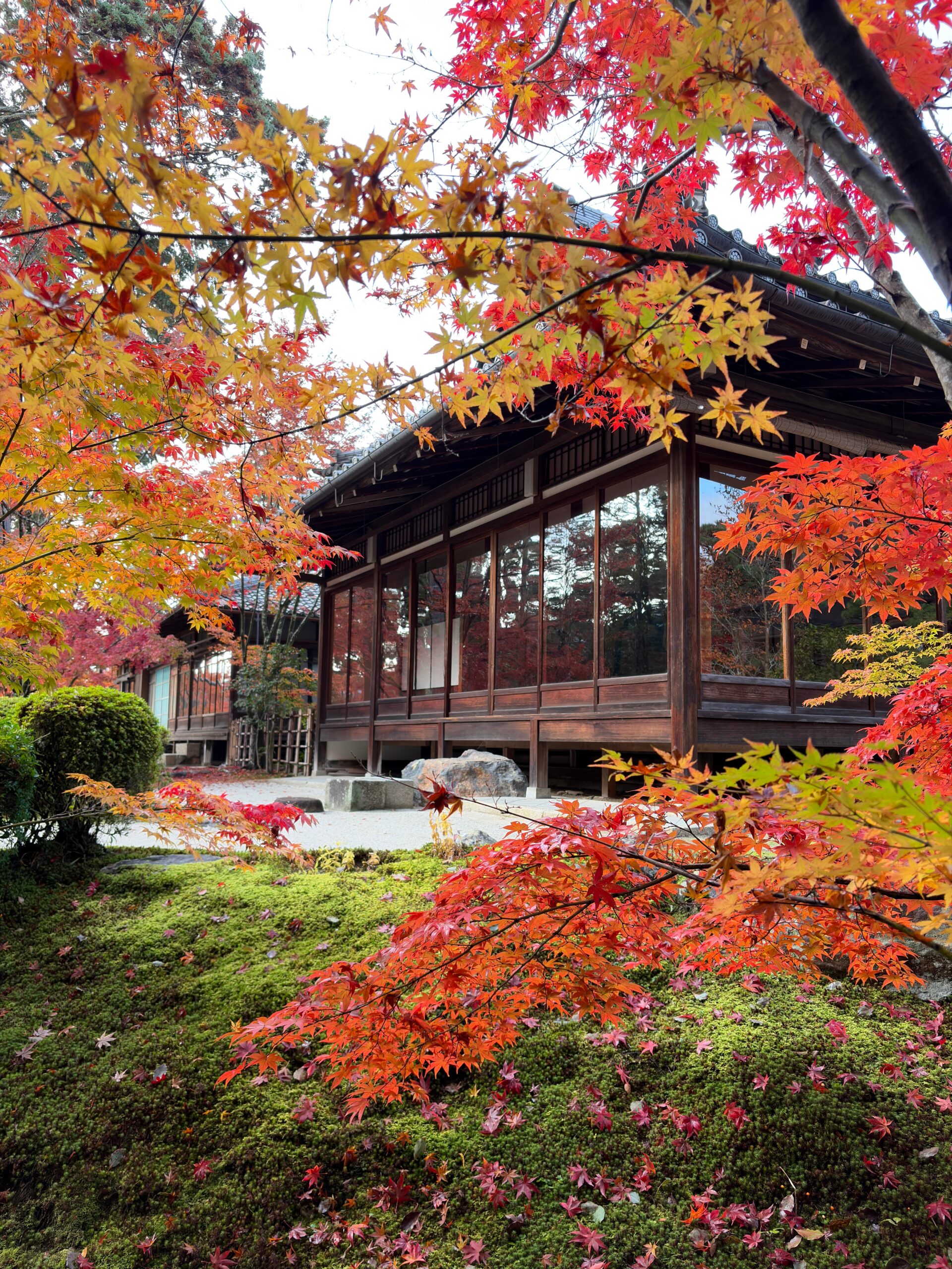 11月の日本旅行「美しい風景に心を奪われる」