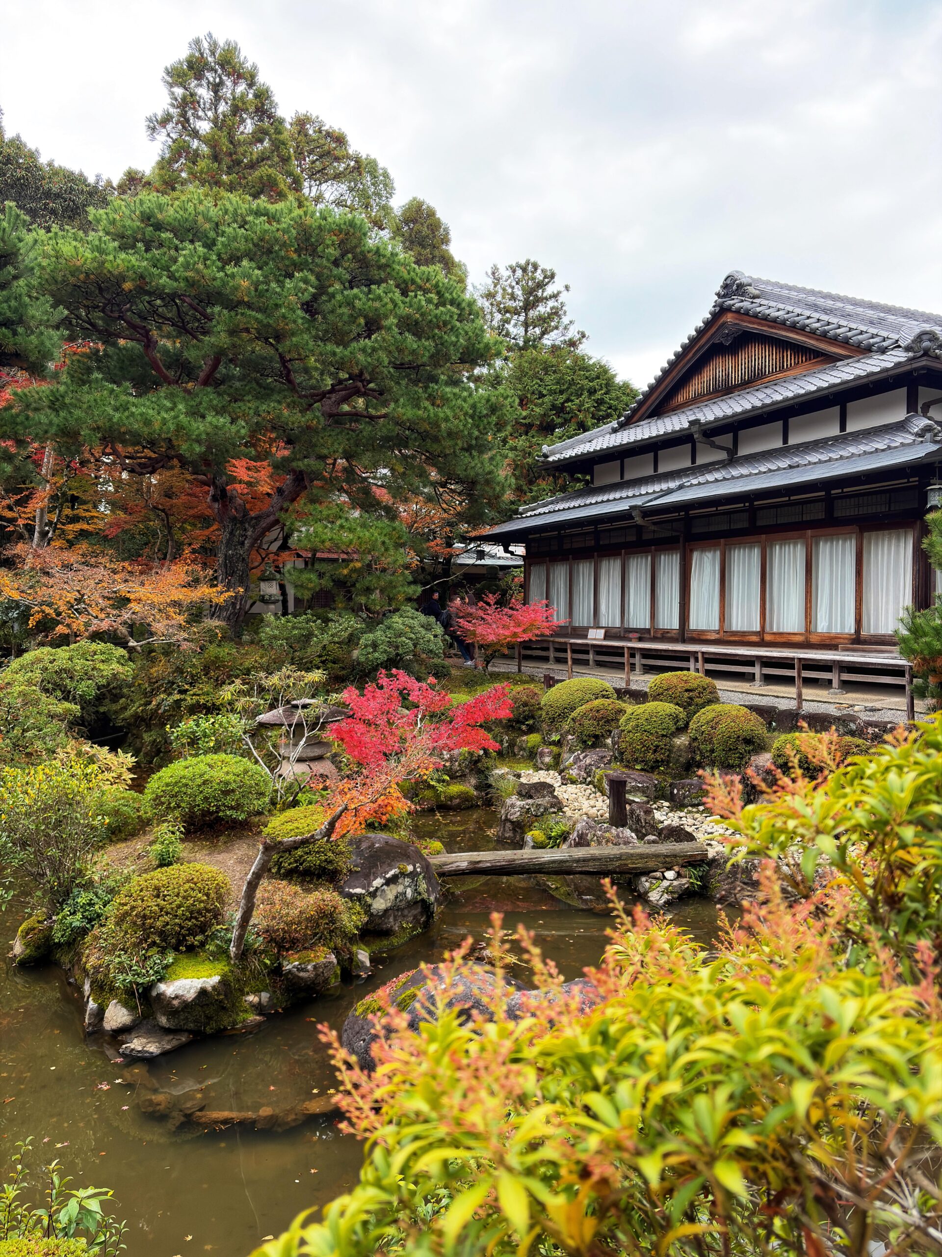11月の日本旅行「美しい風景に心を奪われる」