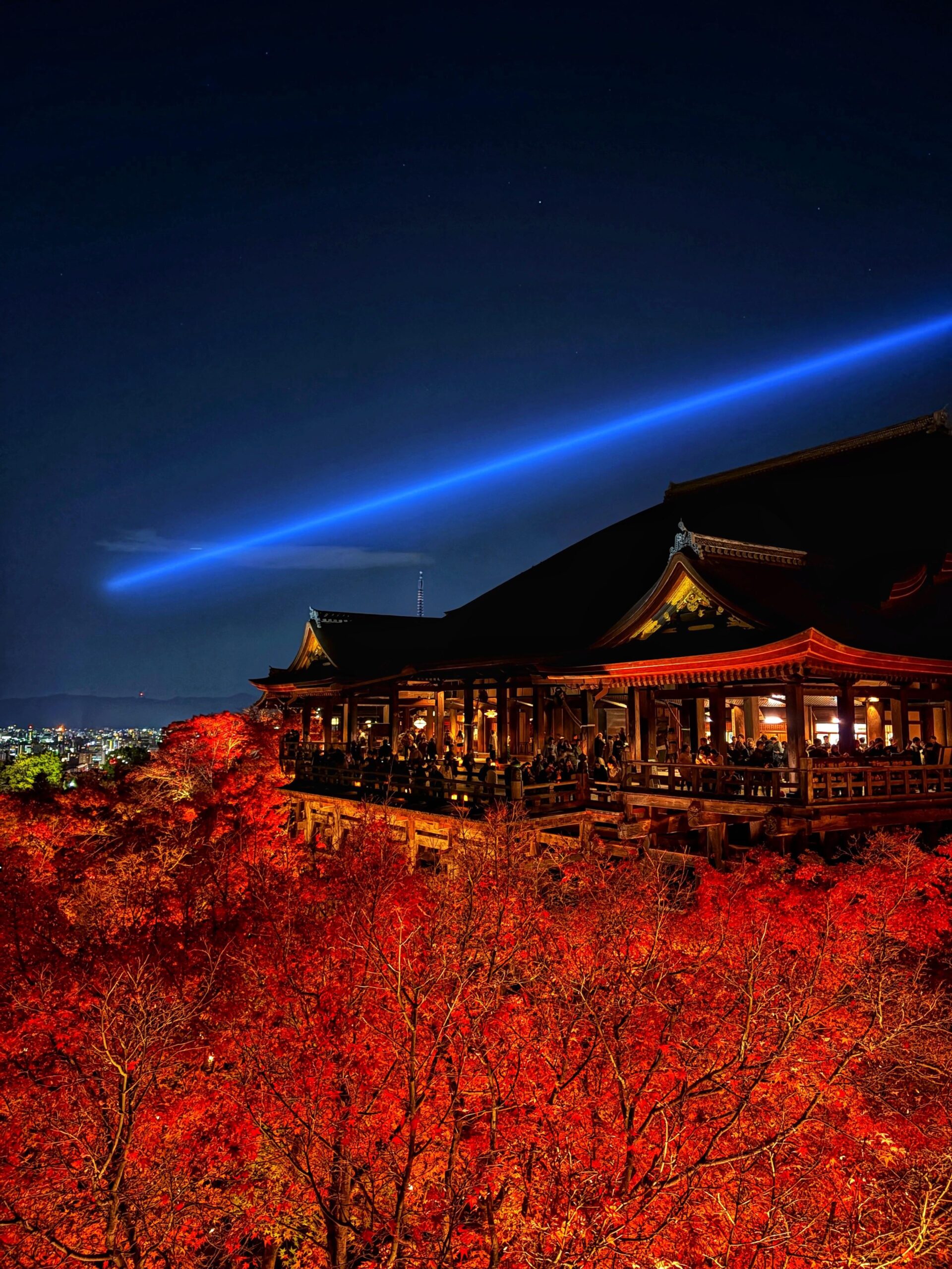 11月の日本旅行「美しい風景に心を奪われる」