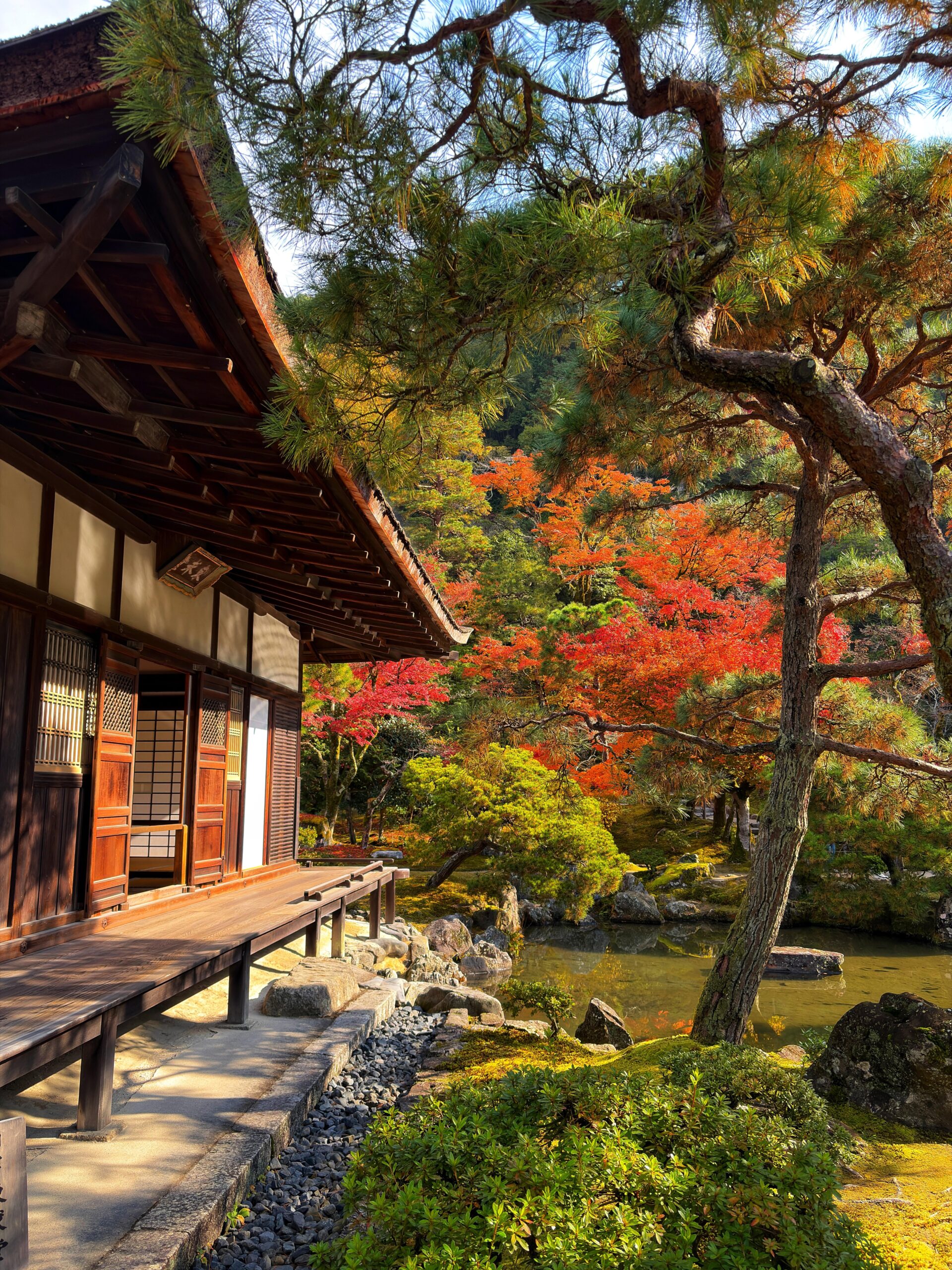 11月の日本旅行「美しい風景に心を奪われる」