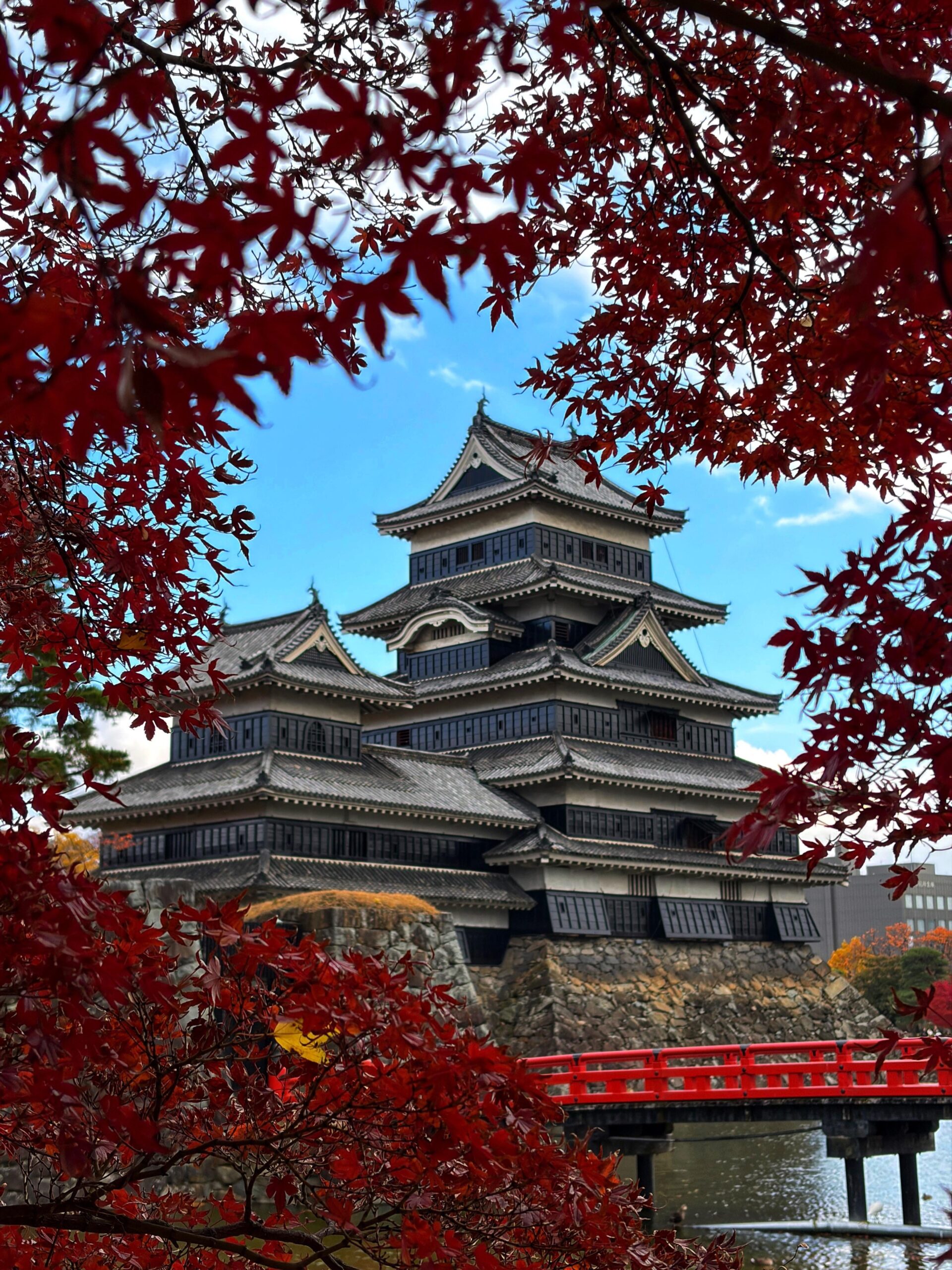 11月の日本旅行「美しい風景に心を奪われる」