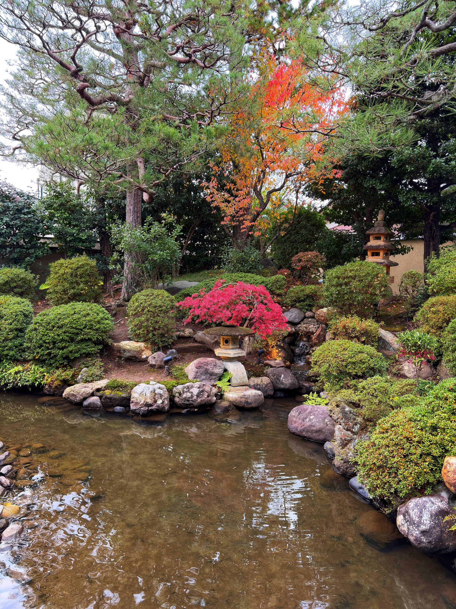 11月の日本旅行「美しい風景に心を奪われる」