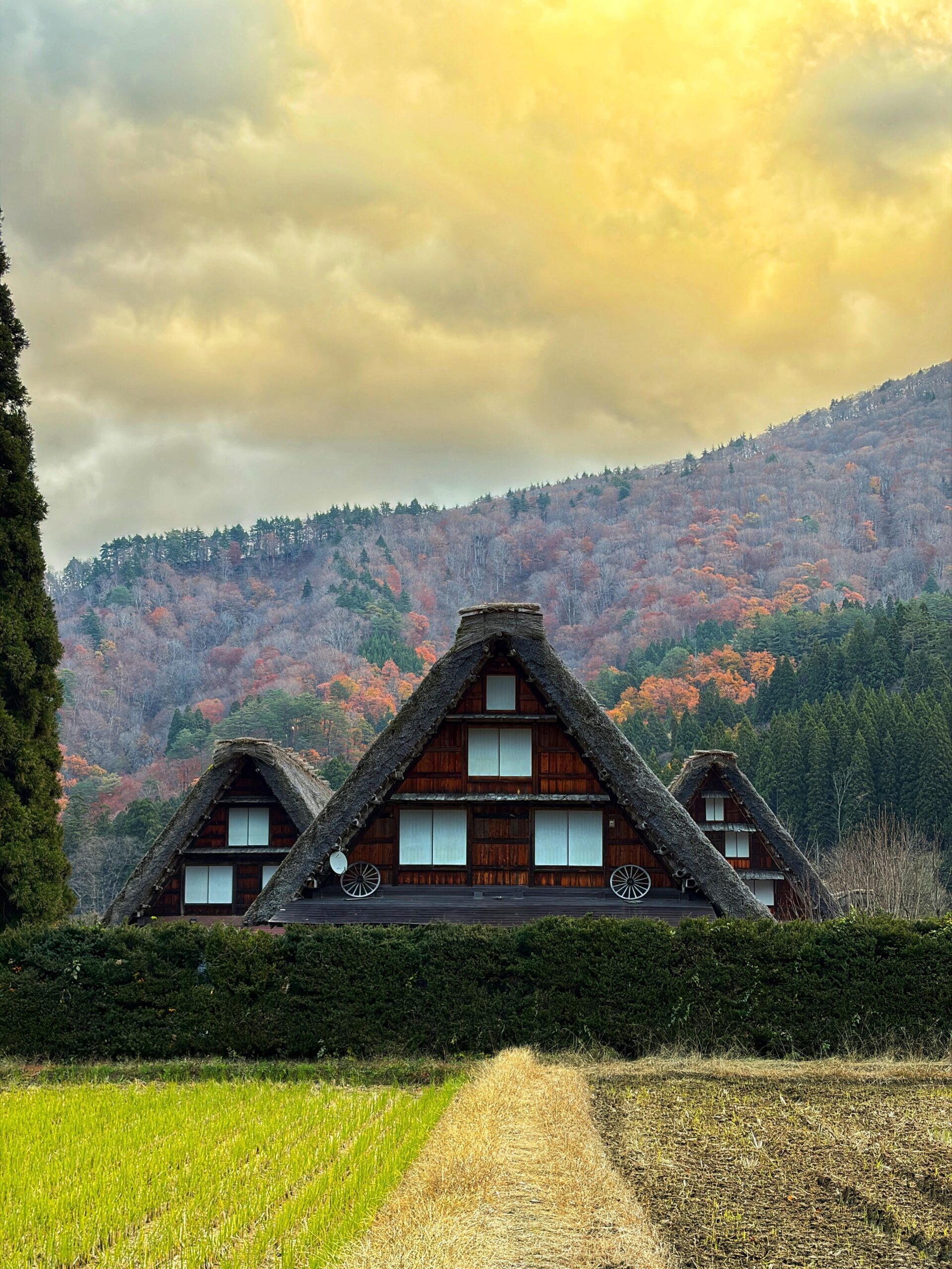 11月の日本旅行「美しい風景に心を奪われる」