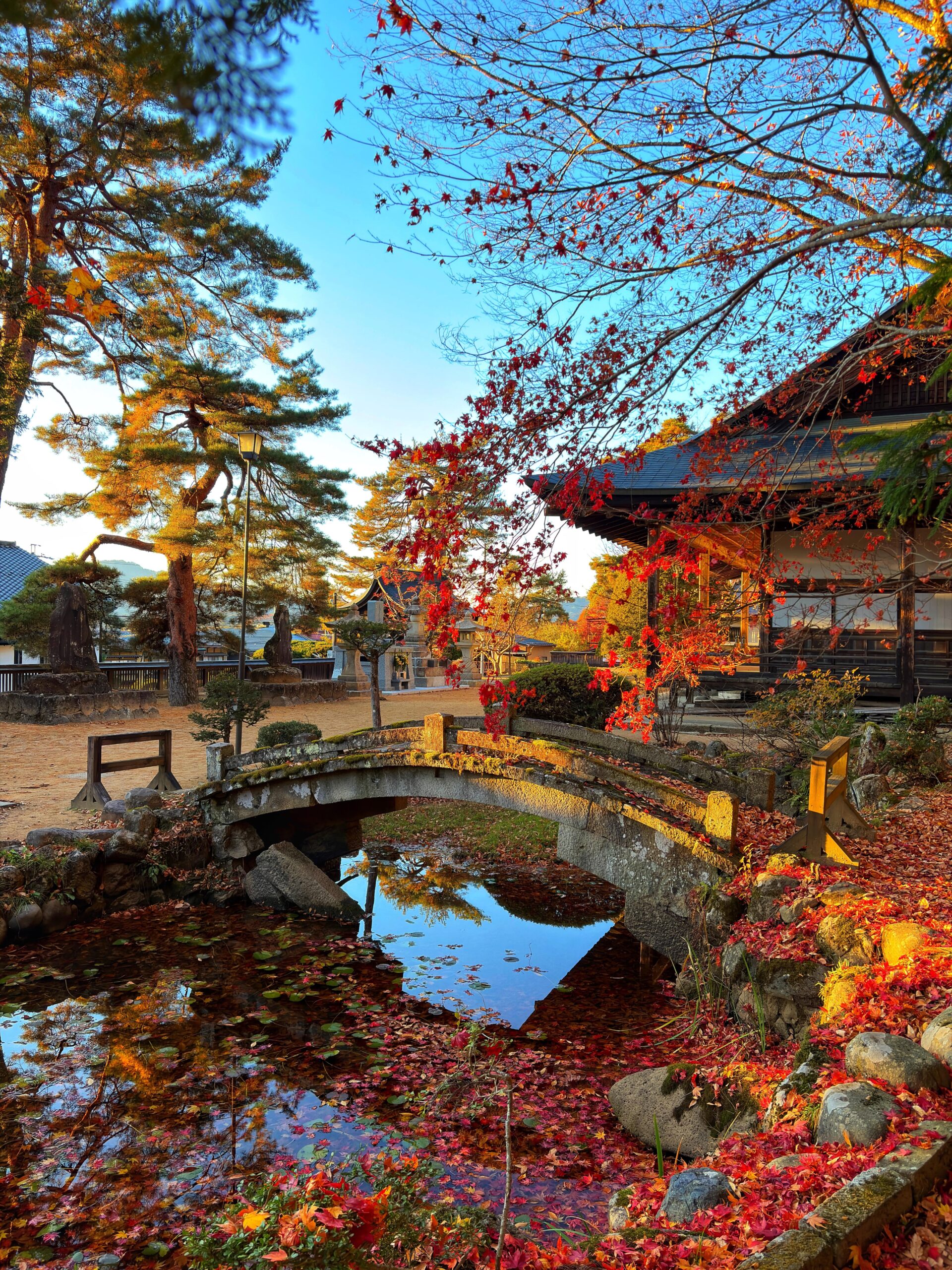 11月の日本旅行「美しい風景に心を奪われる」