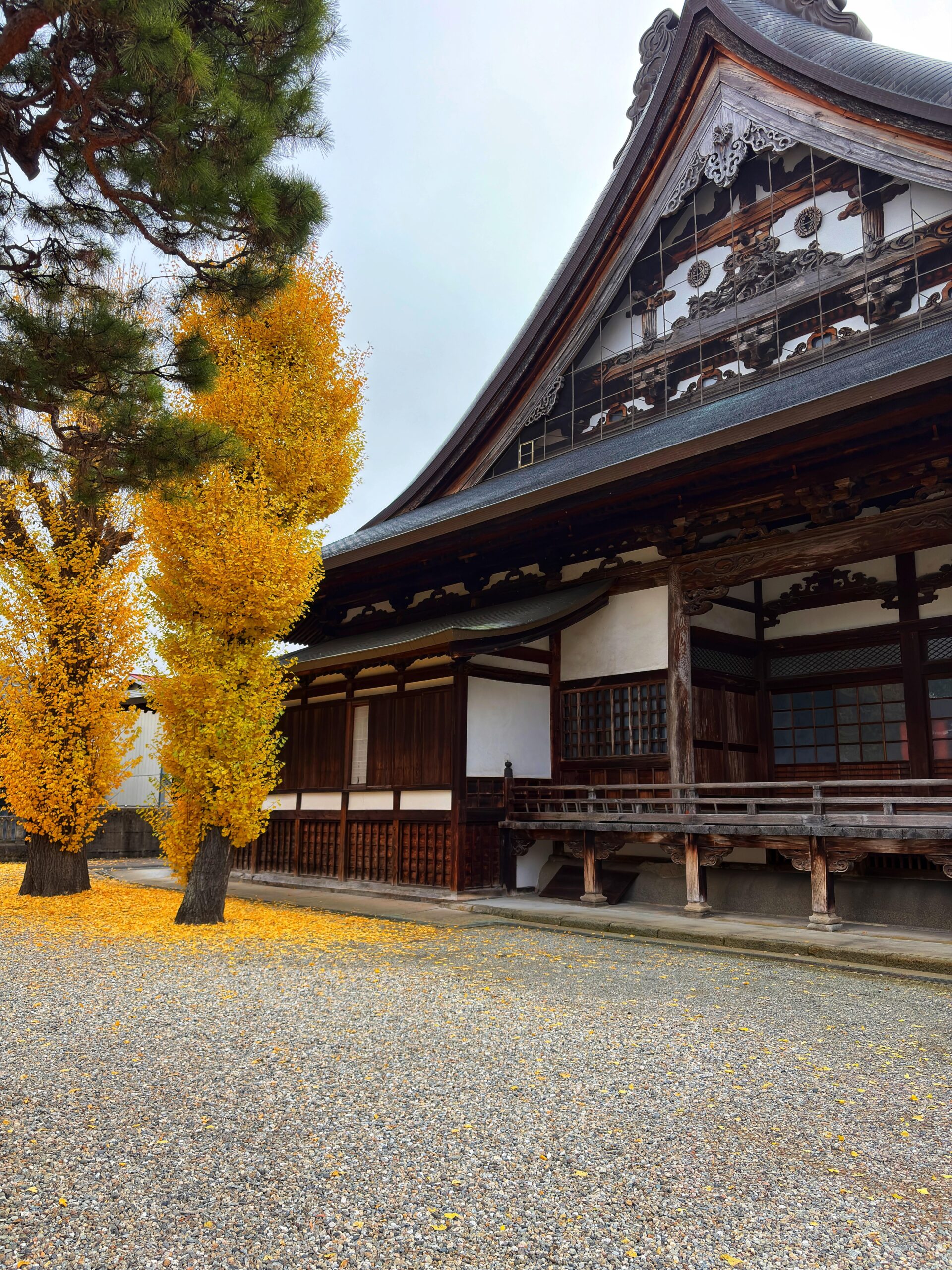 11月の日本旅行「美しい風景に心を奪われる」